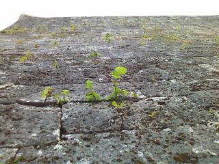 2012-13~16keitai 027.jpg